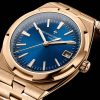 Overseas Automatic 4500V/110R-B705 41 mm - Image 5
