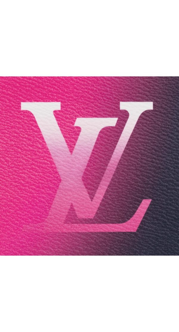 【LOUIS VUITTON】Zippy Wallet - Image 2